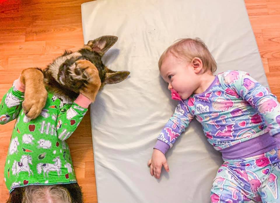 A dog and a toddler girl both wearing bamboo pajamas. 